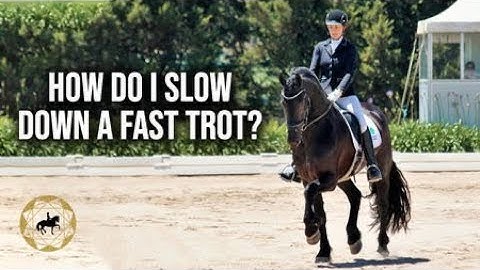 HOW DO I SLOW DOWN A FAST TROT? - Dressage Mastery TV Episode 276