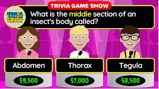 😃👉 GENERAL KNOWLEDGE QUIZ! - 20 Trivia Questions in a Unique Game Show Format | 24-036