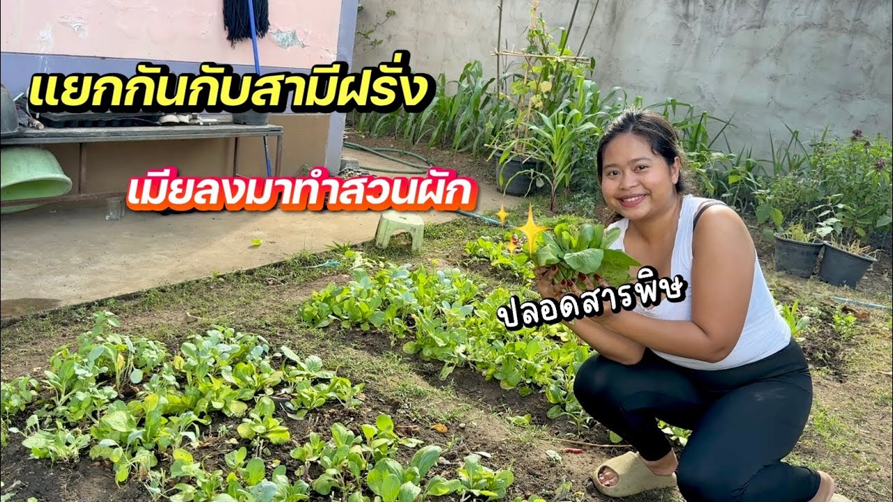 แยกกันกับสามีฝรั่งเมียมาลงแปลงผัก🥬🍆 #ชีวิตเมียฝรั่ง #สาวบุรีรัมย์ 