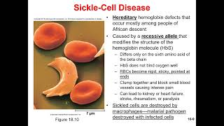Chapter 18 The Circulatory System Microlecture 2 Homeostasis and Blood Typing