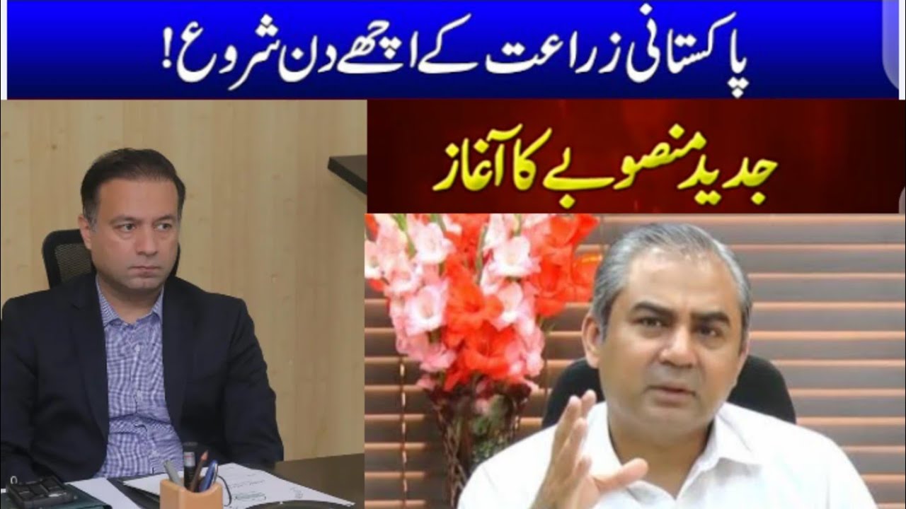 Dap Subsidy by hbl knocct , payment dap, Dap Subsidy update, wheat 2023, Subsidy verification,