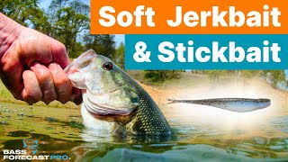 How to Fish Soft Jerkbait & Stickbait w/ @TylersReelFishing screenshot 5