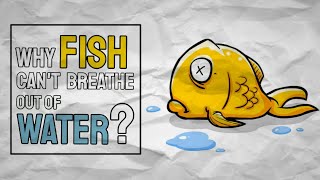 Why Can't Fish Breathe Out Of Water? | Urdu/Hindi #fish