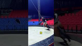 This Takes Insane Balance