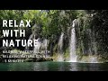 استرخ مع الطبيعة خمس دقائق من الاسترخاء مع الشلال السحري وأصوات الطبيعة المريحة 