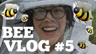 Bee VLOG #5 | WEEK 3 Hive Check | 4/29/2017