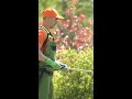 Stronger Lawn Starts Here