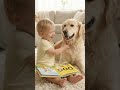learn Alphabet d is for Dog #viral #bestvural #abcd #abc #shorts