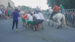 Abrivado Aux Vigneres Le 20 Juillet 2018