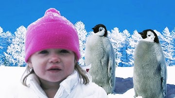 Parallax Video Demo Reel