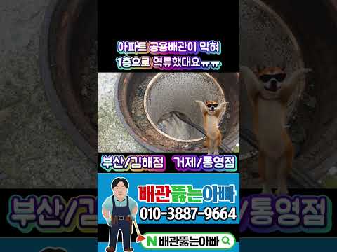 1층에서 역류하는 아파트 공용배관 고압세척#부산강서구하수구막힘#김해하수구막힘#창원하수구막힘#거제하수구막힘#통영하수구막힘#진해하수구막힘#마산하수구막힘#고압세척#배관내시경#관로탐지
