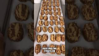 Have You Seen Freeze Dried Twixs Before?