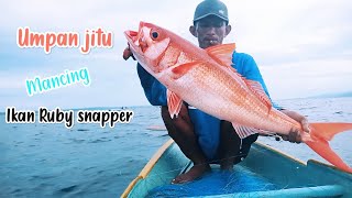 MANCING IKAN KURISI ( RUBY SNAPPER) || PAKAI UMPAN JITU || DI KEDALAMAN 200 METER