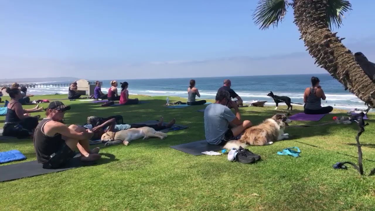 Tuesday Morning Yoga YouTube