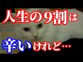 【大切なお知らせ】人生の9割は辛いことばかり。だからこそ、あの言葉にハッとさせられました