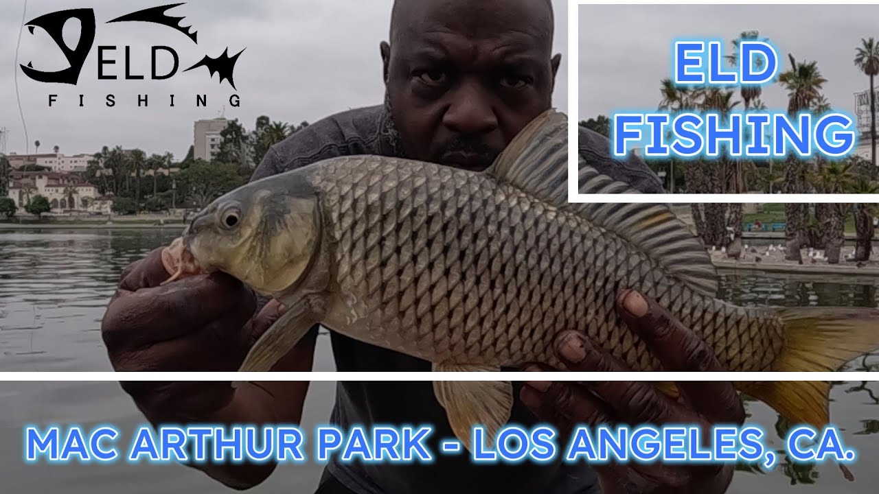 ELD Fishing - Downtown Los Angeles, MacArthur Park