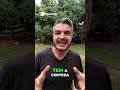 Cão Agressivo  Descubra Por Que Ele Morde!
