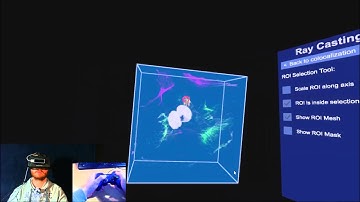 Virtual Reality Assisted Microscopy Data Visualization and Colocalization Analysis