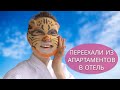 ПРИШЛОСЬ ПЕРЕЕХАТЬ ИЗ АПАРТАМЕНТОВ В ОТЕЛЬ. ОТДЫХ В АДЛЕРЕ!