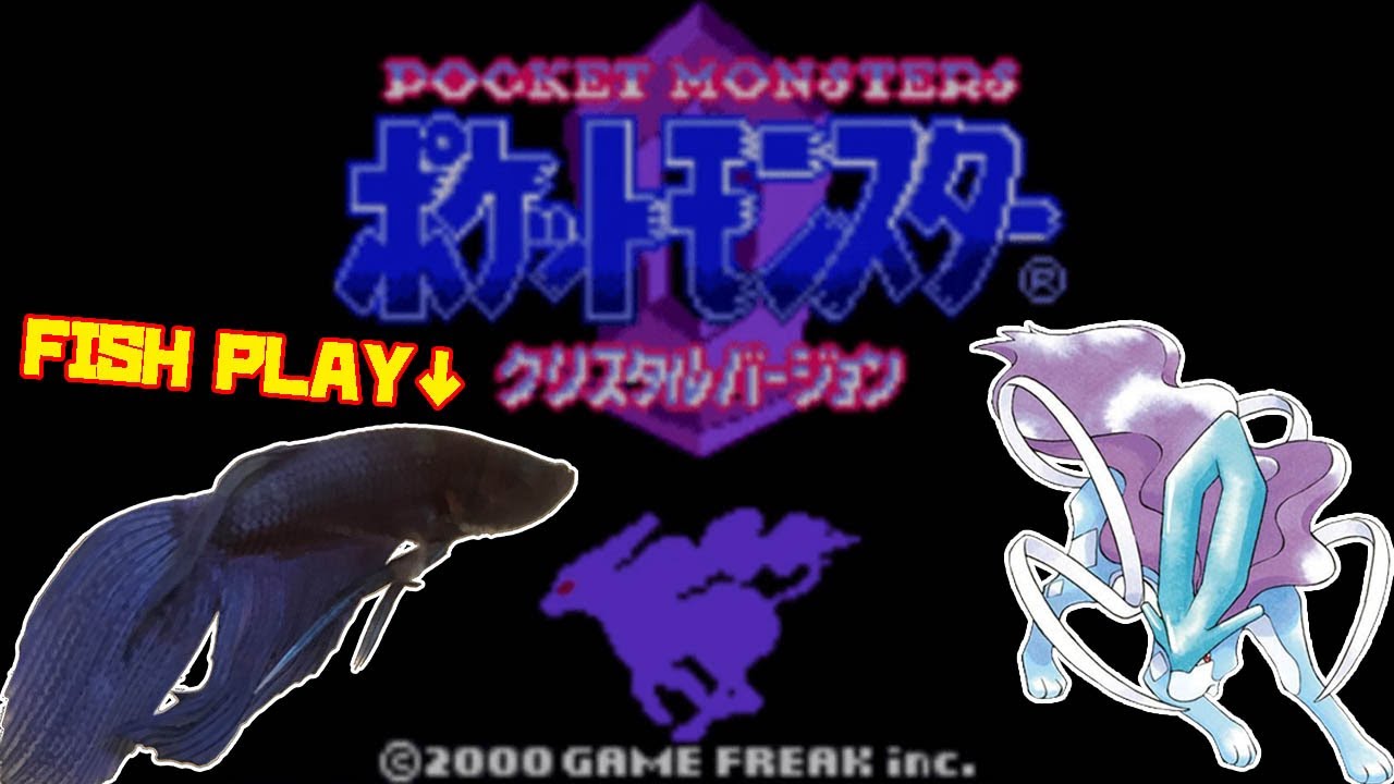 タンバシティ編 1494h ペットの魚がポケモンクリア Fish Play Pokemon 作業用bgm Youtube