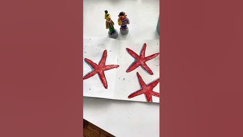 Practice Book Tutorial- Starfish