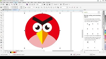 Membuat Objek Sederhana (Angry Bird) di CorelDraw X8 - Ines Permatasari