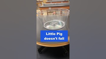 Explain the Physics?  Centripetal Force Demo