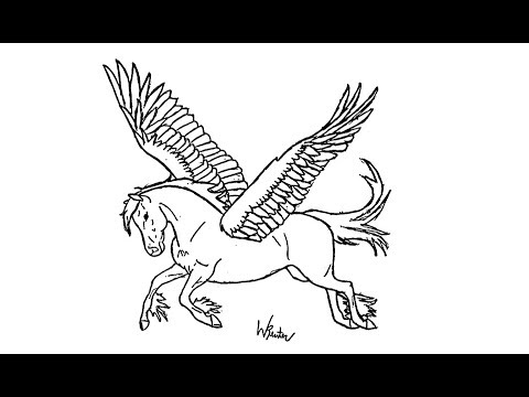Video: Hur Man Ritar En Pegasus