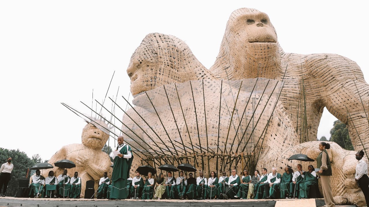 Baby Gorillas Named in Rwanda - 18th Kwita Izina Ceremony