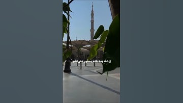 تلاوة خاشعة بصوت القارئ بدر التركي اكثروا من الصلاة على النبي ﷺ في يوم الجمعة وليلتها #بدر_التركي