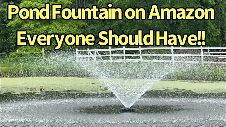 The BEST Pond Fountain on Amazon:  A Must-Have!!