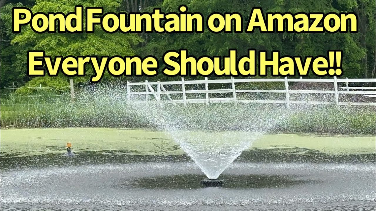 The BEST Pond Fountain on Amazon:  A Must-Have!!