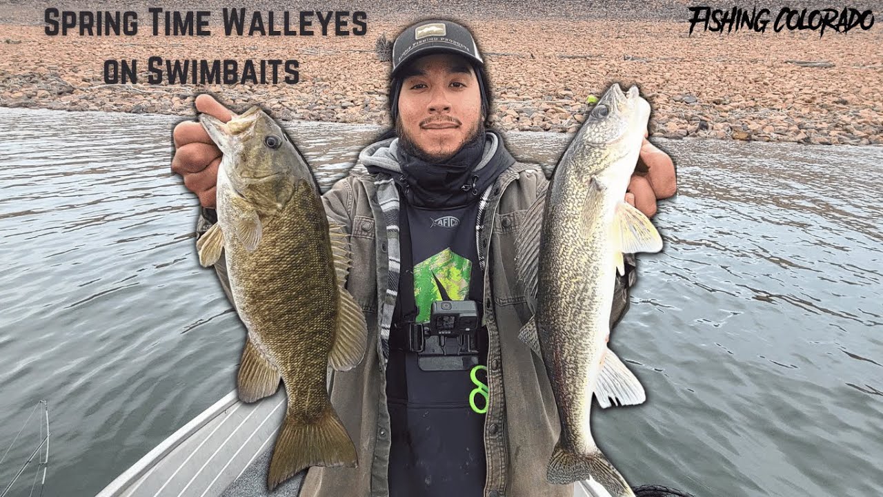 Spring Walleye Fishing with Swimbaits 