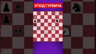 💥ЦУГЦВАНГ И ЛИНИЯ ТРОИЦКОГО #chesspuzzle #шахматныезадачи #шахматы #chess