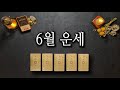 [타로카드] 6월 운세 🌹6월에 있을 좋은 일들 미리 알고 꼭 잡으세요!