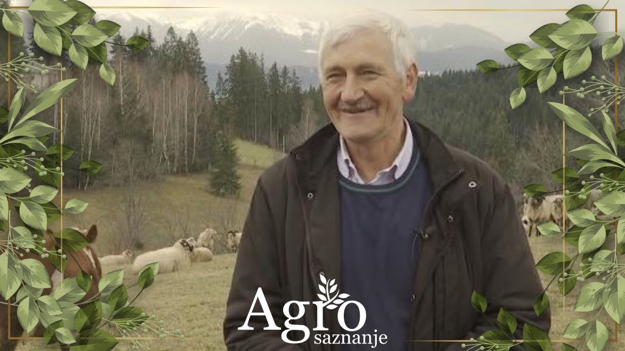 AGROSAZNANJE - Honsići iz Rožaja od farme zarade 20.000 e godišnje