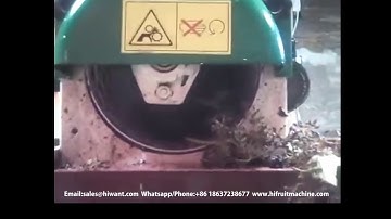 High Quality Grape Destemming and Crushing Machine/grape crusher/grape destemmer