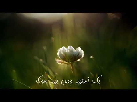 بك أستجير ومن يجير سواك فأجر ضعيفا يحتمي بحماكا