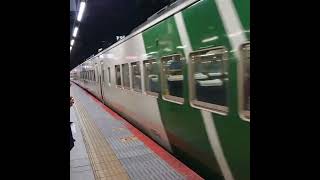 185系 特急踊り子 現役時代 横浜駅
