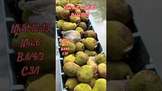 giá mít ruột đỏ trưa hôm nay 31/3/2026. Indonesia Jackfruit