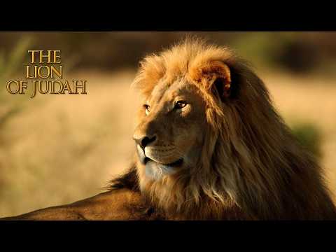 LION (feat. Chris Brown & Brandon Lake) Elevation Worship - 432 Hz