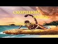 СКОРПИОН ТАРО ПРОГНОЗ ИЮНЬ