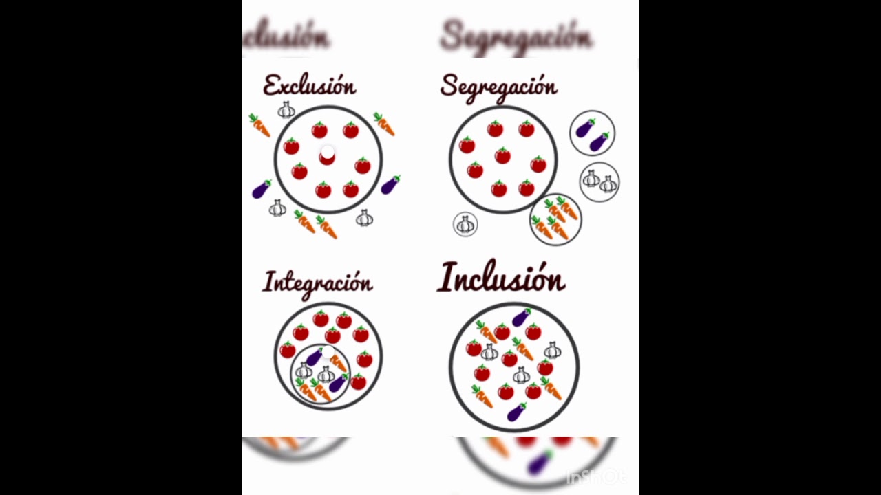 integración, segregación, inclusión y exclusión. - YouTube