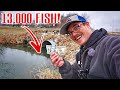 You Have To PAY To Fish Here?!? (WORTH IT)