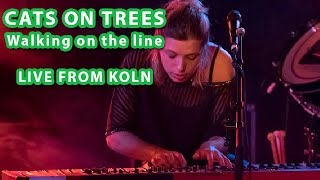 Cats On Trees - Walking On The Line (Koln)