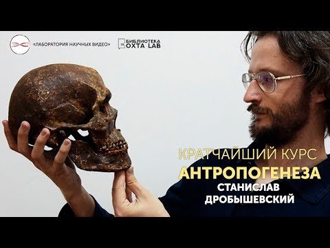 Кратчайший курс антропогенеза. Станислав Дробышевский