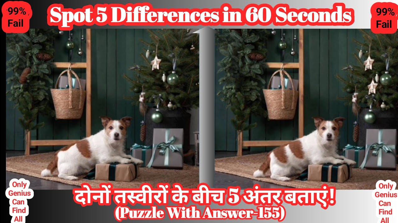 Find 5 Differences in 60 Second😇!99% Fail!#Puzzle-155 With Answer!# ...