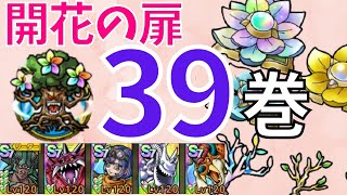 【ドラクエタクト】開花の扉 第39巻 クリア【#ドラクエタクト​/#ドラゴンクエストタクト​/#才能開花/#DQTact​/#DQT/#DQタクト】