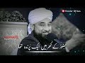 Parinda Aashiq E Rasool🌹| Status | Raza Saqib Mustafai🌹| Heart Touching Whatsapp Status 🌹