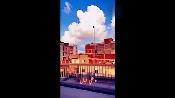 محمد رشدى السعادة حالات واتس 